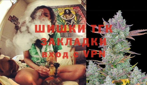 молекула духа Михайлов