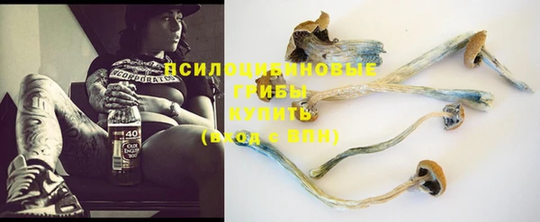 молекула духа Михайлов