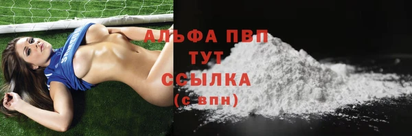 молекула духа Михайлов