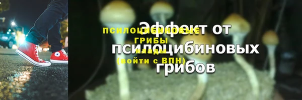 сатива Михайловск