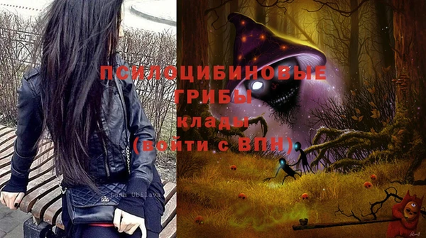 сатива Михайловск