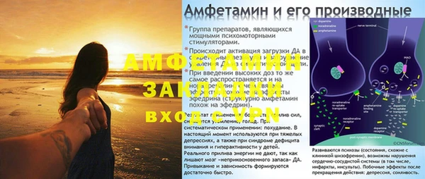 сатива Бердск