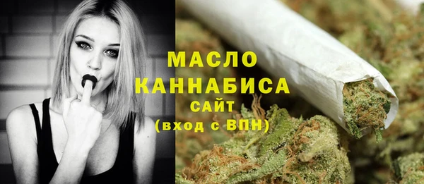 молекула духа Михайлов