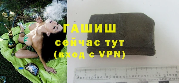 молекула духа Михайлов