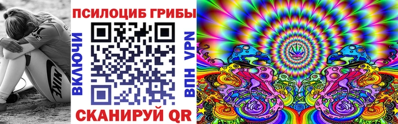 Галлюциногенные грибы Psilocybe  даркнет сайт  Йошкар-Ола 